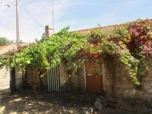 Pedregulho Experience - Rebelhos