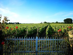 Appartements LA MAISON DES VIGNES SAINT EMILION : photos des chambres