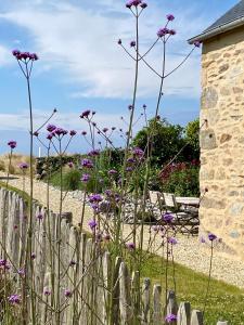 Maisons de vacances La Grange Neuve : photos des chambres