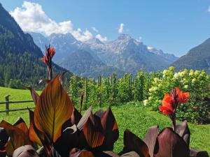 Ferienwohnung Adrowitzer