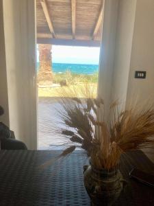 Il bacio del sole img7