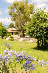 Hotels San Giovanni : photos des chambres