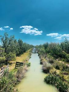 Appartements Maison de vacances L'Hote Champetre campagne arlesienne : photos des chambres