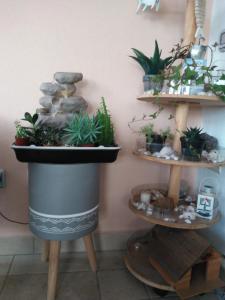 B&B Sos Manneddos img72