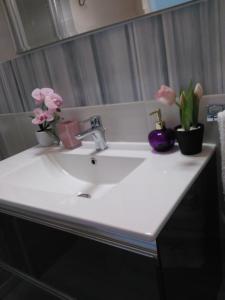 B&B Sos Manneddos img80