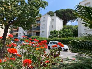 Appartements CASSIS VILLAGE Options Parking and Baby : photos des chambres