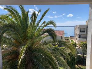 Apartments Vitez 
