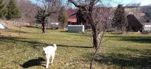 Farma pod Wulkanem - Jurków