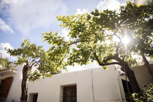 Casa rural Can Rotes con jardin y barbacoa