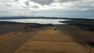 "Lawendowe Wzgórze"