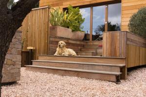 Maisons de vacances Lodge Les Oliviers : photos des chambres