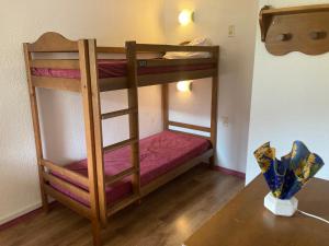 Appartement 46 pers 38m2, vue montagne, piscine chauffée, 500m centre ville