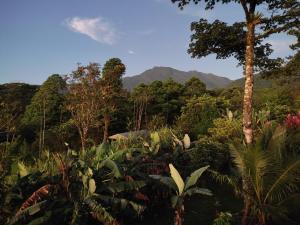 Río Celeste Nature View