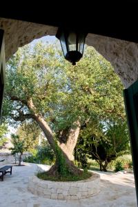 Villa Trullo Panorama