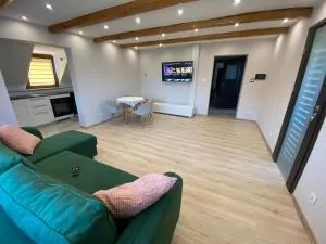 Apartament W46B Deluxe w Bielawie Góry Sowie - 别拉瓦