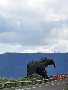 Casa KIA - Pet Friendly img36