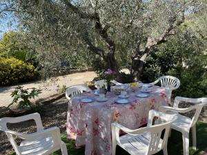 Apartment Olivo - PGI128 by Interhome