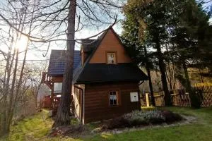 Ludwikówka pod Luboniem, stu-letni domek w górach - Naprawa