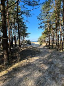 Seven Amber Apartment Palanga