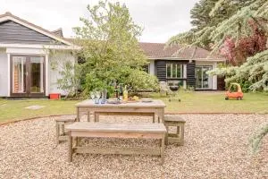 Sea Poppies - Sizewell