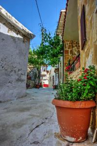 Panoramic Villa with Private Pool near Παγκαλοχώρι