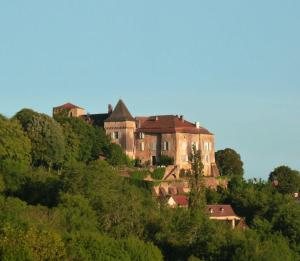 Maisons de vacances Chateau de Beduer and Vacation Homes : photos des chambres