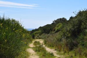 Villa azzurra tra le coste del sud img31
