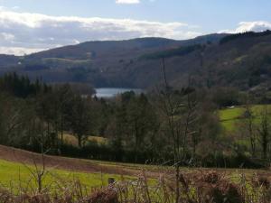 Chalets Chalet de 2 chambres avec vue sur le lac et jardin amenage a La Salvetat sur Agout : photos des chambres