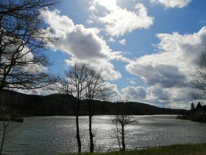 Chalets Chalet de 2 chambres avec vue sur le lac et jardin amenage a La Salvetat sur Agout : photos des chambres