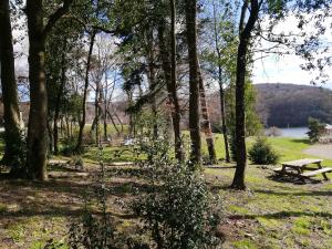 Chalets Chalet de 2 chambres avec vue sur le lac et jardin amenage a La Salvetat sur Agout : photos des chambres