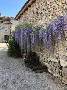 Maisons de vacances Le Gite de La Maison des Chats : photos des chambres