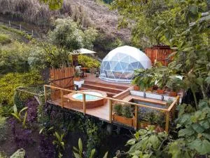 Nazca Glamping - Llanitos