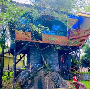 Treehouse Tabor Hills Resort Vagamon