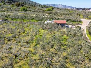 Grandpas olives tiny house