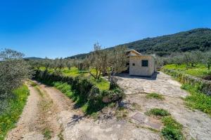 Grandpas olives tiny house