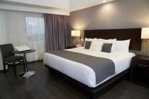 Ejecutivo Express Guadalajara Providencia - Av México