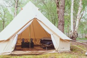 Campings Le repere du pin sec - Glamping & Surfcamp : photos des chambres