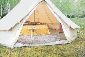 Campings Le repere du pin sec - Glamping & Surfcamp : photos des chambres