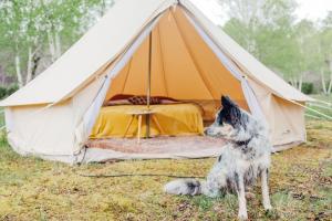 Campings Le repere du pin sec - Glamping & Surfcamp : photos des chambres