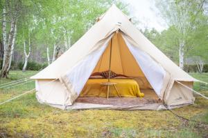 Campings Le repere du pin sec - Glamping & Surfcamp : photos des chambres