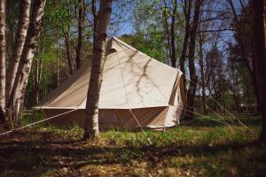 Campings Le repere du pin sec - Glamping & Surfcamp : photos des chambres