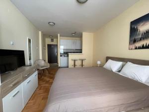 Trident Apartments 2