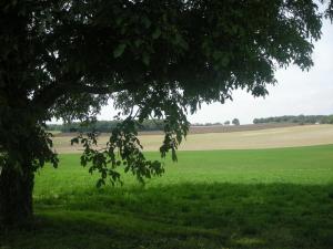 Maisons de vacances Gite Palluau-sur-Indre, 5 pieces, 10 personnes - FR-1-591-149 : photos des chambres
