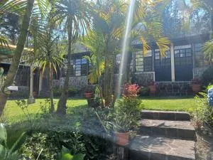 Hotel y Bungalows ecologicos Marcelo - Jaibalito