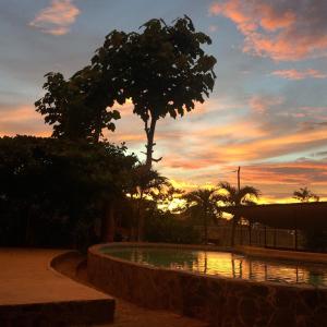 Cabinas Flamingo