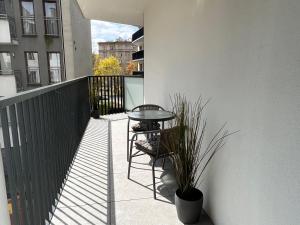 MaryArte Apartments Grzegórzecka