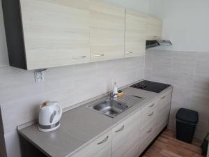 APARTMÁN ROŽŇAVA city & parking