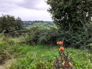 Studio privé aux portes des Fagnes - Polleur