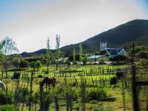 Karoo Art Hotel