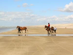 Maisons de vacances 